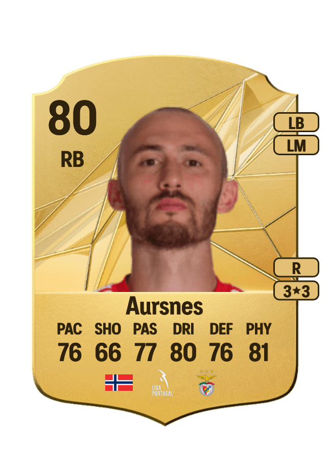 Fredrik Aursnes card